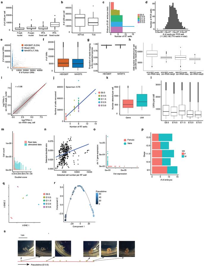 https://cdn.ncbi.nlm.nih.gov/pmc/blobs/5265/6434952/d241bed049cc/nihms-1518381-f0007.jpg