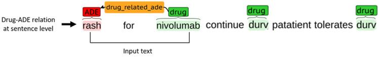 https://cdn.ncbi.nlm.nih.gov/pmc/blobs/5268/11668329/287133977d68/POR-15-243-g0002.jpg