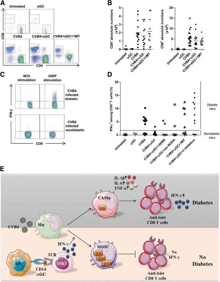 https://cdn.ncbi.nlm.nih.gov/pmc/blobs/526b/3806597/dc541925d4c8/3785fig8.jpg