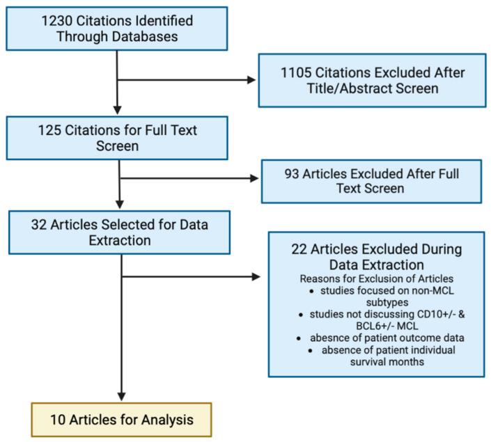https://cdn.ncbi.nlm.nih.gov/pmc/blobs/526e/10298847/d5ca1d32bee3/ijms-24-10207-g001.jpg