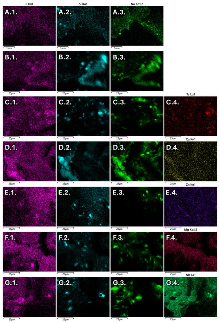 https://cdn.ncbi.nlm.nih.gov/pmc/blobs/5270/12193905/429793a3a60a/jfb-16-00200-g003.jpg