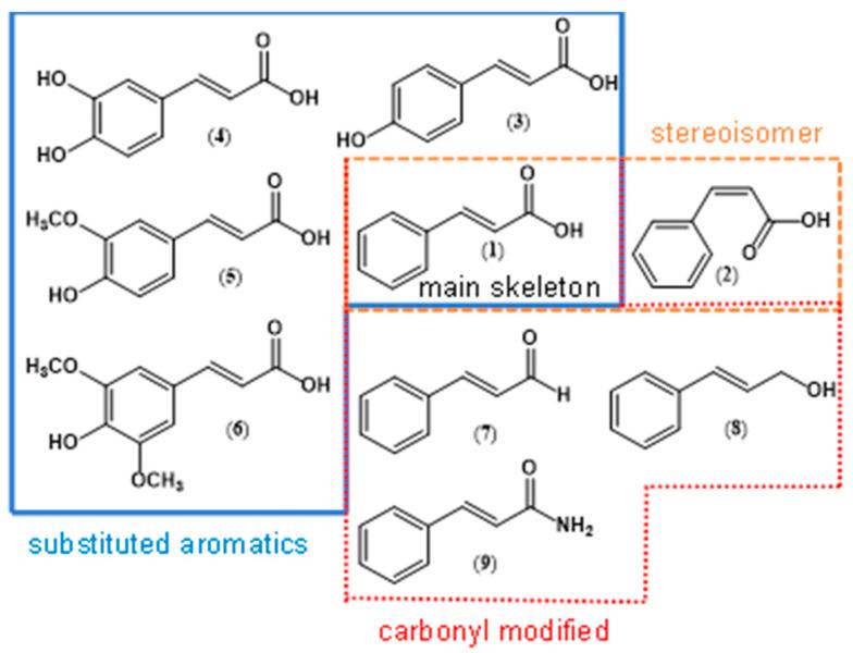 https://cdn.ncbi.nlm.nih.gov/pmc/blobs/5271/11357405/a06d217be198/molecules-29-03929-g001.jpg