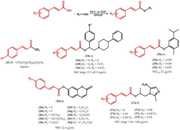 https://cdn.ncbi.nlm.nih.gov/pmc/blobs/5271/11357405/df6b2a9f1d6f/molecules-29-03929-sch003.jpg