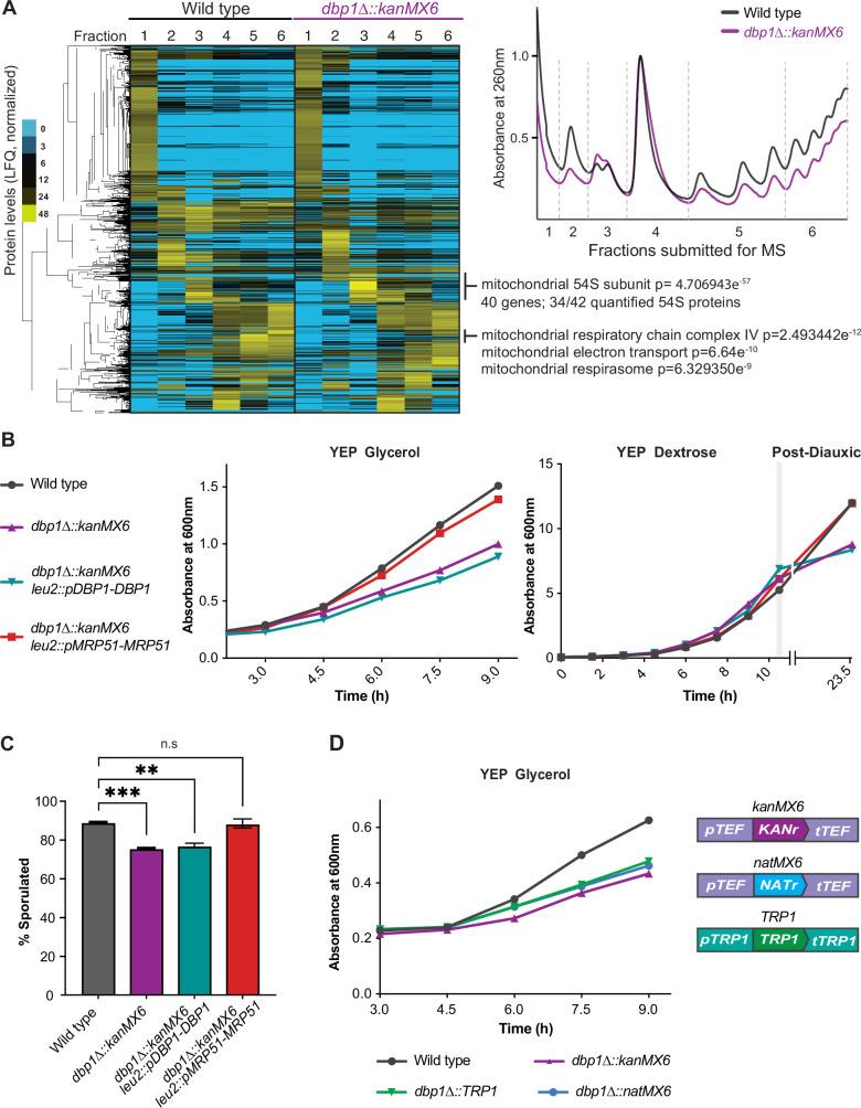 https://cdn.ncbi.nlm.nih.gov/pmc/blobs/5272/9754628/6f511262a820/elife-81086-fig2.jpg