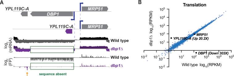 https://cdn.ncbi.nlm.nih.gov/pmc/blobs/5272/9754628/e3901b80fc0c/elife-81086-fig5-figsupp2.jpg