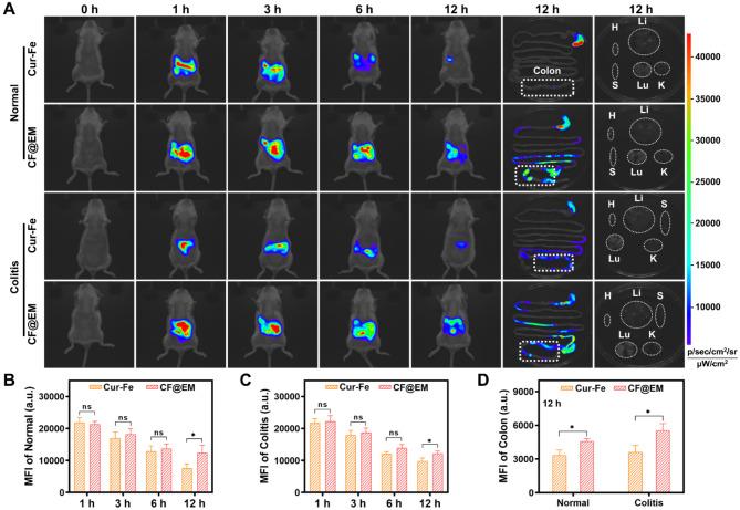https://cdn.ncbi.nlm.nih.gov/pmc/blobs/5273/11378530/eaf45a2d68b7/12951_2024_2802_Fig4_HTML.jpg