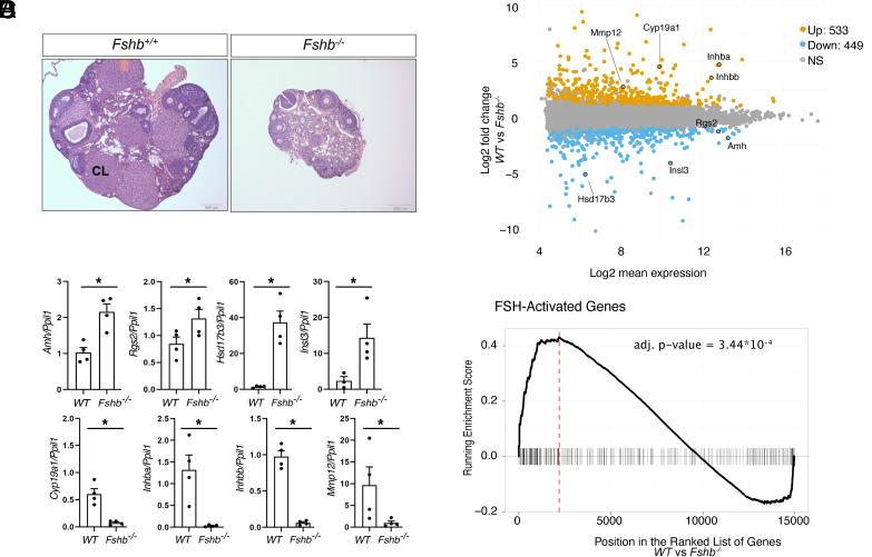 https://cdn.ncbi.nlm.nih.gov/pmc/blobs/5274/11848299/47aac6be7383/pnas.2411977122fig01.jpg