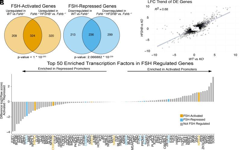 https://cdn.ncbi.nlm.nih.gov/pmc/blobs/5274/11848299/73afcc01dfeb/pnas.2411977122fig03.jpg