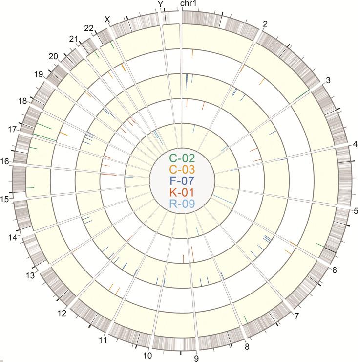 https://cdn.ncbi.nlm.nih.gov/pmc/blobs/5275/9278108/518e6d78988c/jvi.00122-22-f009.jpg