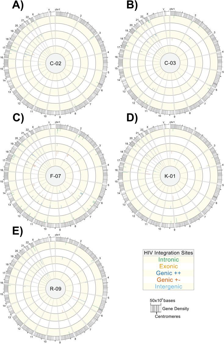 https://cdn.ncbi.nlm.nih.gov/pmc/blobs/5275/9278108/8b6ae466a0bf/jvi.00122-22-f010.jpg