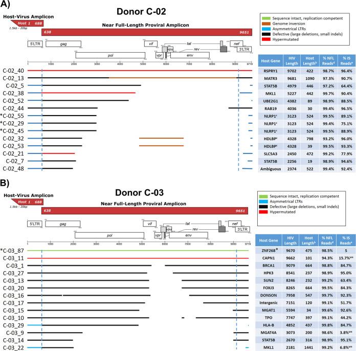 https://cdn.ncbi.nlm.nih.gov/pmc/blobs/5275/9278108/d45e80112dde/jvi.00122-22-f02a.jpg