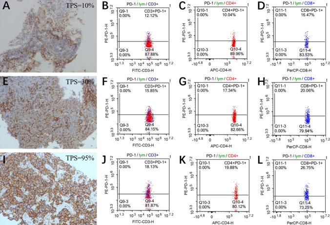 https://cdn.ncbi.nlm.nih.gov/pmc/blobs/5276/11249409/92a639da80a8/12094_2024_3416_Fig2_HTML.jpg