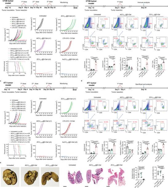 https://cdn.ncbi.nlm.nih.gov/pmc/blobs/5277/10987105/30a9bfd7988e/ADVS-11-2307030-g004.jpg