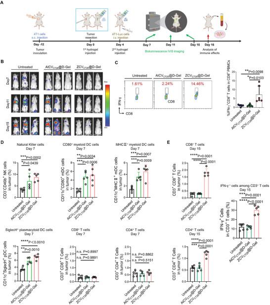 https://cdn.ncbi.nlm.nih.gov/pmc/blobs/5277/10987105/d0303aba7307/ADVS-11-2307030-g003.jpg