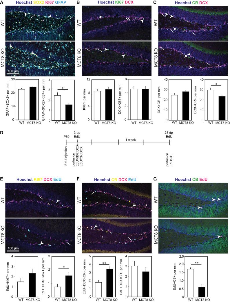 https://cdn.ncbi.nlm.nih.gov/pmc/blobs/5277/7220957/f495db597864/gr4.jpg