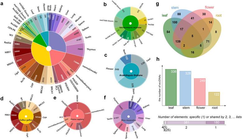 https://cdn.ncbi.nlm.nih.gov/pmc/blobs/5277/9881285/2d122b1282d3/12864_2023_9135_Fig2_HTML.jpg