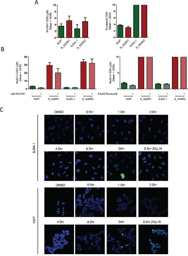 https://cdn.ncbi.nlm.nih.gov/pmc/blobs/5278/5216791/670cfd4251bd/oncotarget-07-46203-g003.jpg