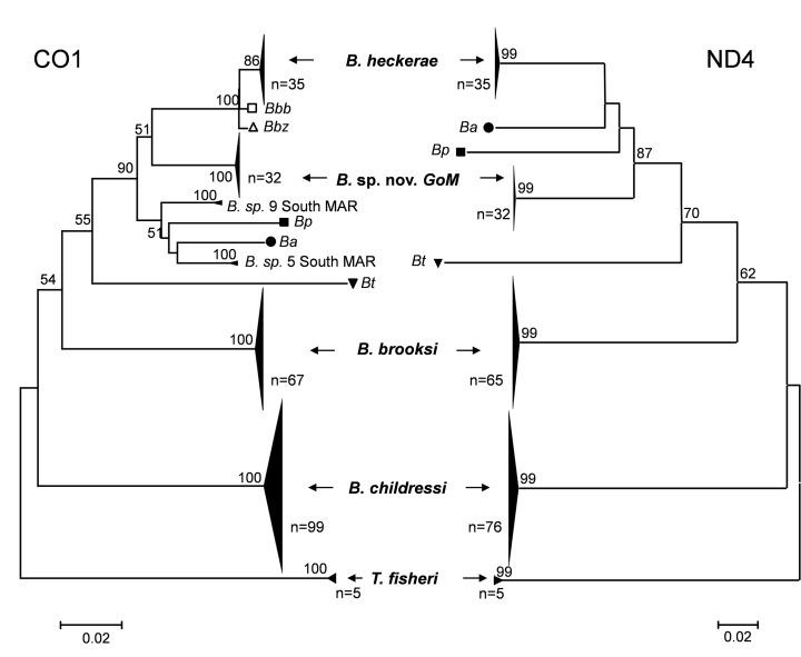 https://cdn.ncbi.nlm.nih.gov/pmc/blobs/5279/4393317/943b3c87c7cf/pone.0118460.g002.jpg