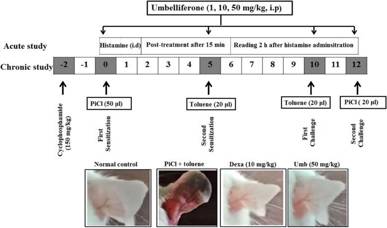 https://cdn.ncbi.nlm.nih.gov/pmc/blobs/5279/8394045/8153100ccb8c/12906_2021_3384_Fig1_HTML.jpg