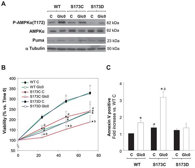 https://cdn.ncbi.nlm.nih.gov/pmc/blobs/527a/4951252/6bb5c299619c/oncotarget-07-17815-g007.jpg