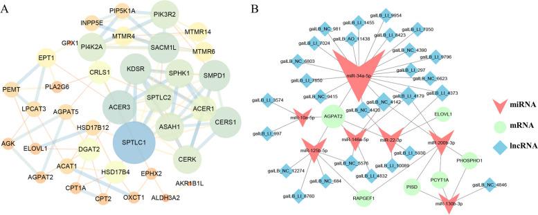 https://cdn.ncbi.nlm.nih.gov/pmc/blobs/527c/10559426/f5392df9b2f9/12864_2023_9685_Fig5_HTML.jpg
