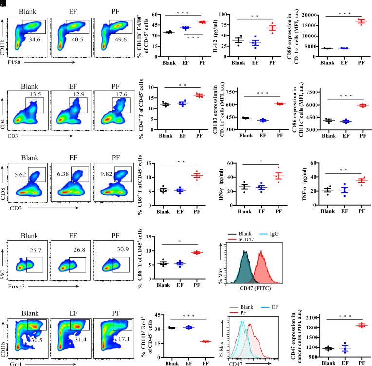 https://cdn.ncbi.nlm.nih.gov/pmc/blobs/527d/10161130/1b62882448f6/pnas.2204621120fig04.jpg