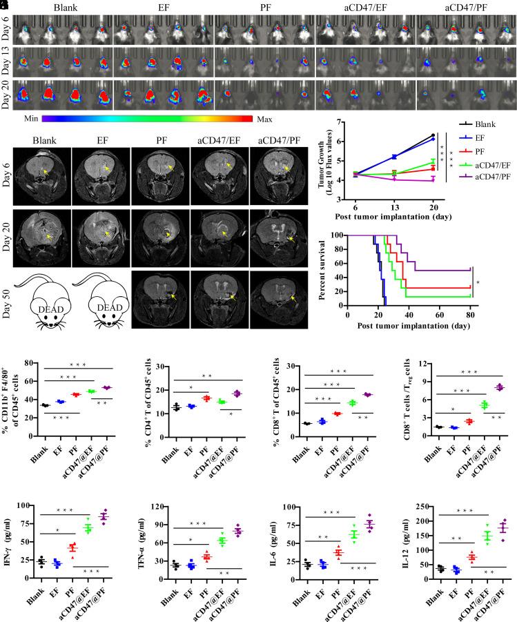 https://cdn.ncbi.nlm.nih.gov/pmc/blobs/527d/10161130/4cdcbceb53ad/pnas.2204621120fig03.jpg