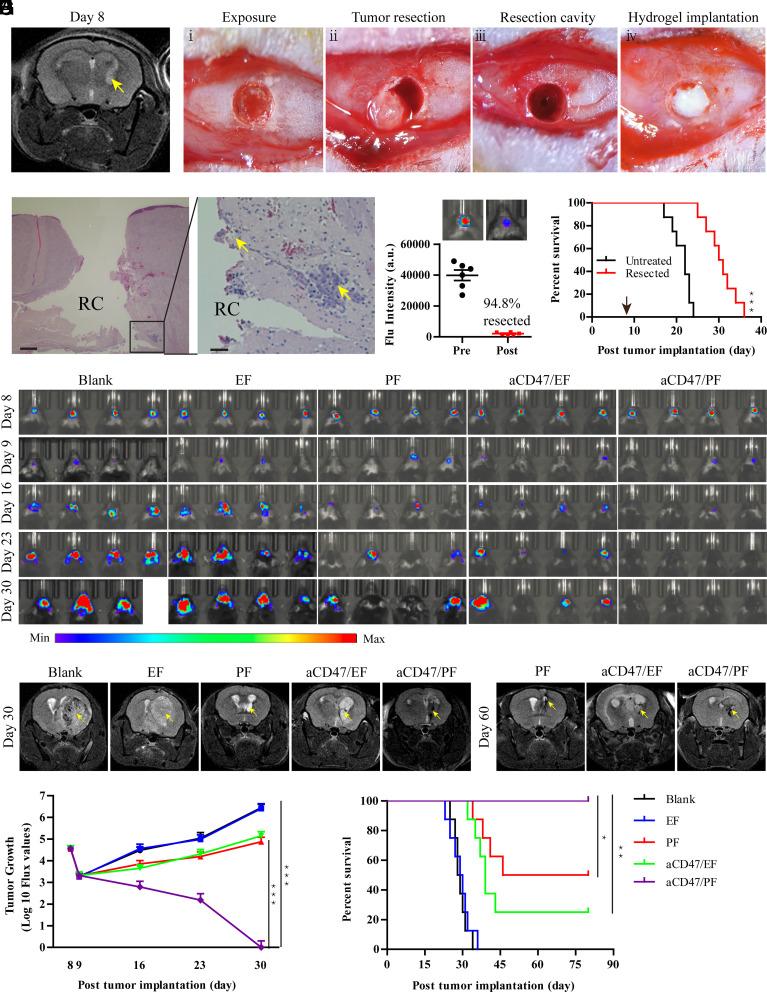 https://cdn.ncbi.nlm.nih.gov/pmc/blobs/527d/10161130/ae1ca9573939/pnas.2204621120fig05.jpg