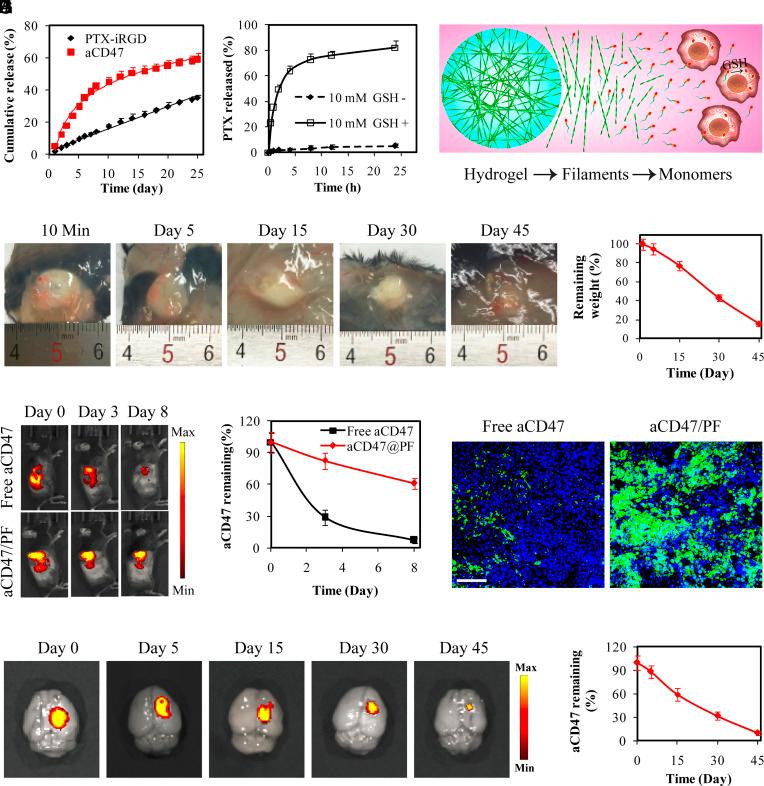 https://cdn.ncbi.nlm.nih.gov/pmc/blobs/527d/10161130/c5e95d9a023a/pnas.2204621120fig02.jpg