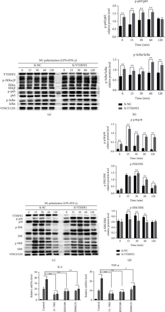 https://cdn.ncbi.nlm.nih.gov/pmc/blobs/527d/9581620/2c1651d7c296/DM2022-3153362.005.jpg