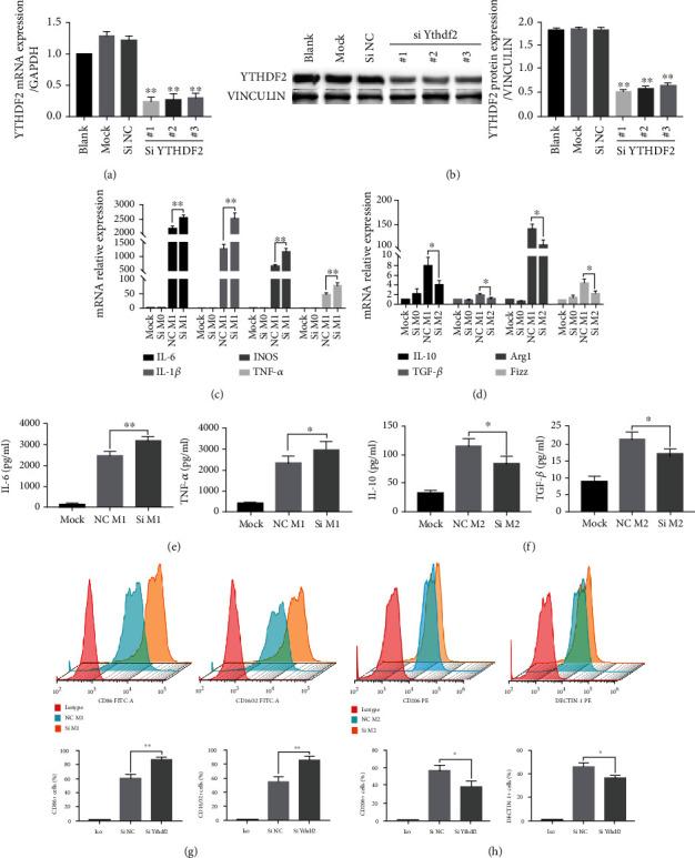 https://cdn.ncbi.nlm.nih.gov/pmc/blobs/527d/9581620/59e34189ac7f/DM2022-3153362.002.jpg