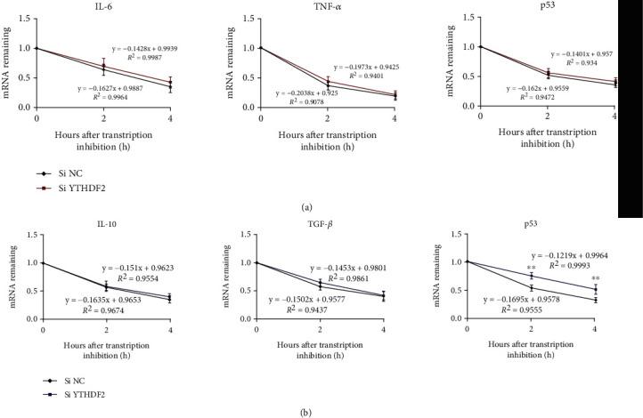 https://cdn.ncbi.nlm.nih.gov/pmc/blobs/527d/9581620/860340c73bd8/DM2022-3153362.004.jpg
