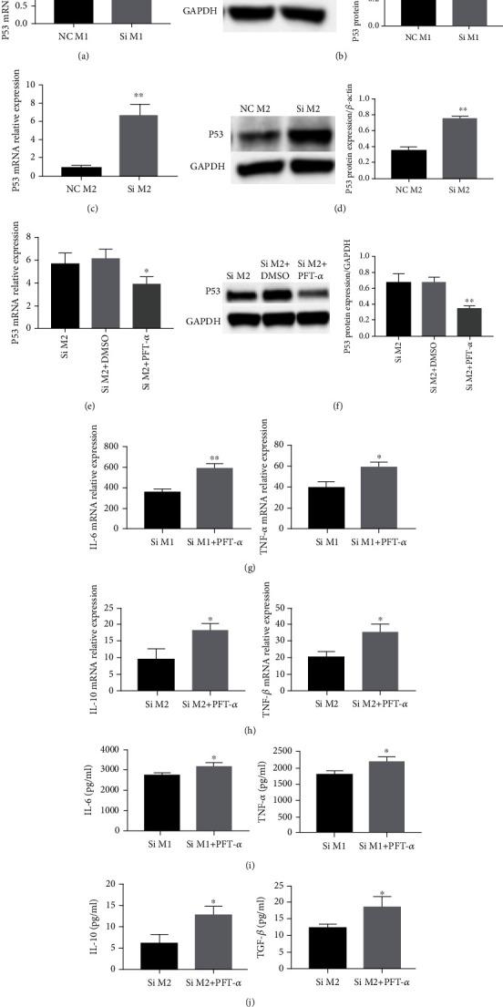 https://cdn.ncbi.nlm.nih.gov/pmc/blobs/527d/9581620/9f0148014479/DM2022-3153362.003.jpg