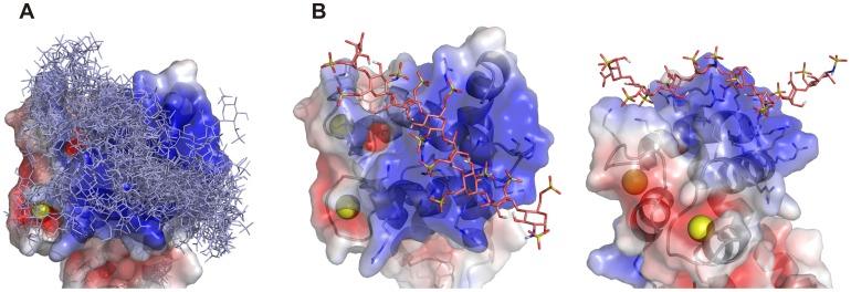 https://cdn.ncbi.nlm.nih.gov/pmc/blobs/527e/3578922/53295e52ca14/pone.0056839.g007.jpg