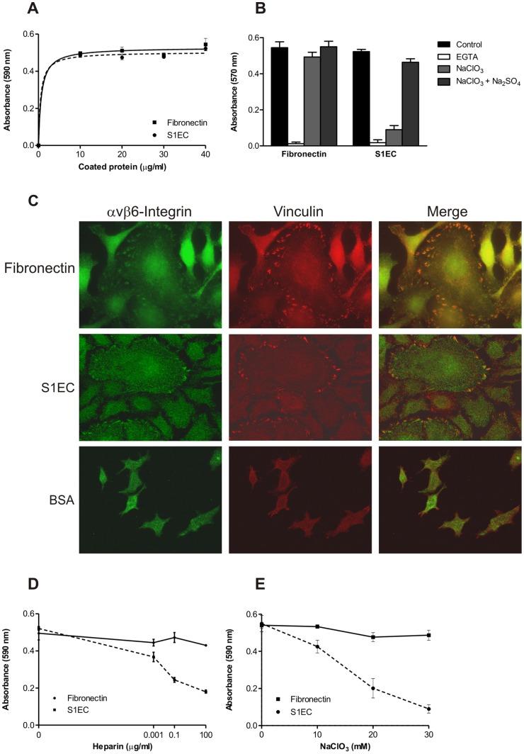 https://cdn.ncbi.nlm.nih.gov/pmc/blobs/527e/3578922/d826a1ed98b0/pone.0056839.g005.jpg