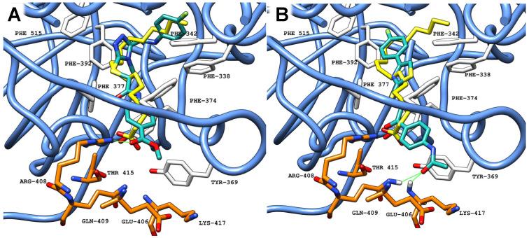 https://cdn.ncbi.nlm.nih.gov/pmc/blobs/5280/11720127/5bc8414b5d7e/ijms-26-00151-g009.jpg