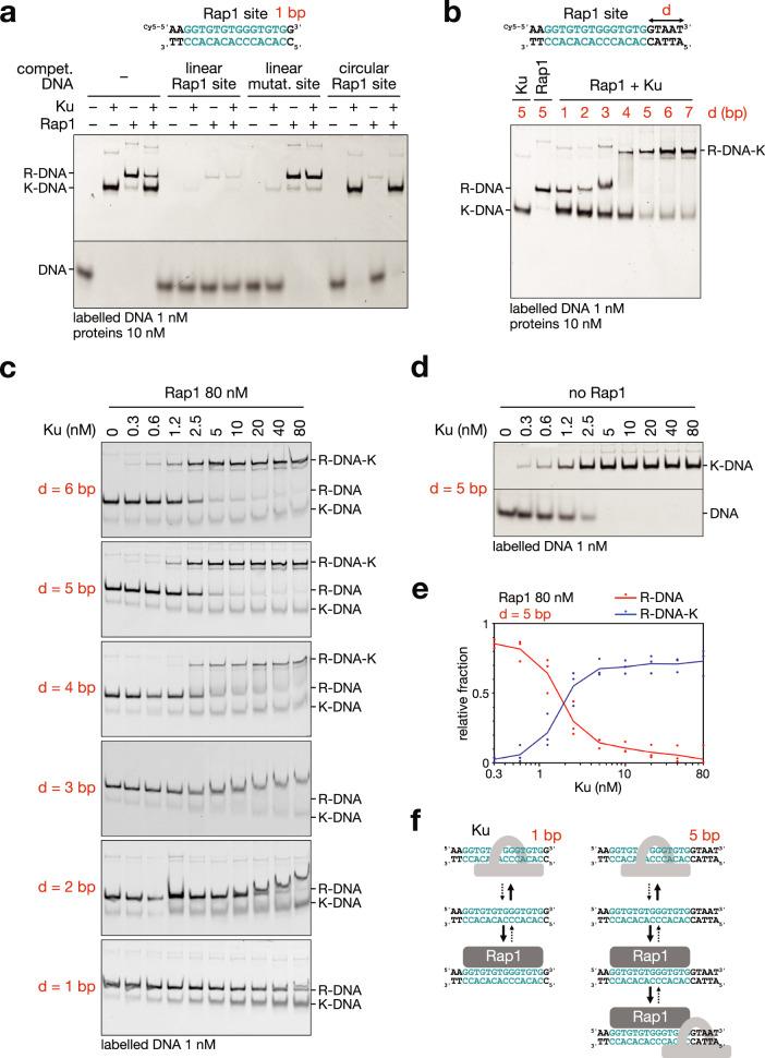 https://cdn.ncbi.nlm.nih.gov/pmc/blobs/5280/12289973/5061fed8bd7a/41467_2025_61864_Fig2_HTML.jpg
