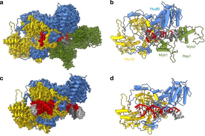 https://cdn.ncbi.nlm.nih.gov/pmc/blobs/5280/12289973/5454a163bbbe/41467_2025_61864_Fig3_HTML.jpg