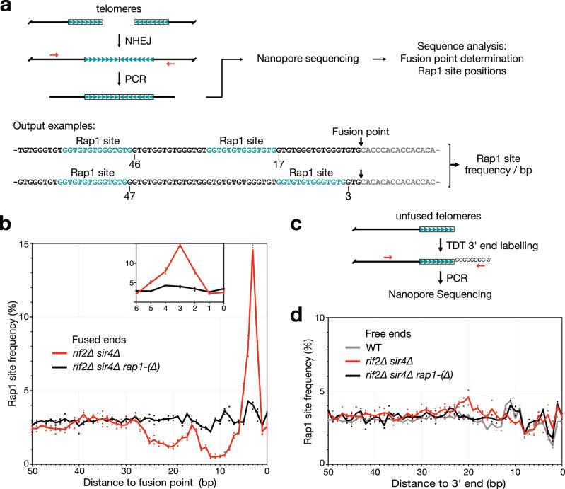 https://cdn.ncbi.nlm.nih.gov/pmc/blobs/5280/12289973/77fc0fb76ff0/41467_2025_61864_Fig4_HTML.jpg