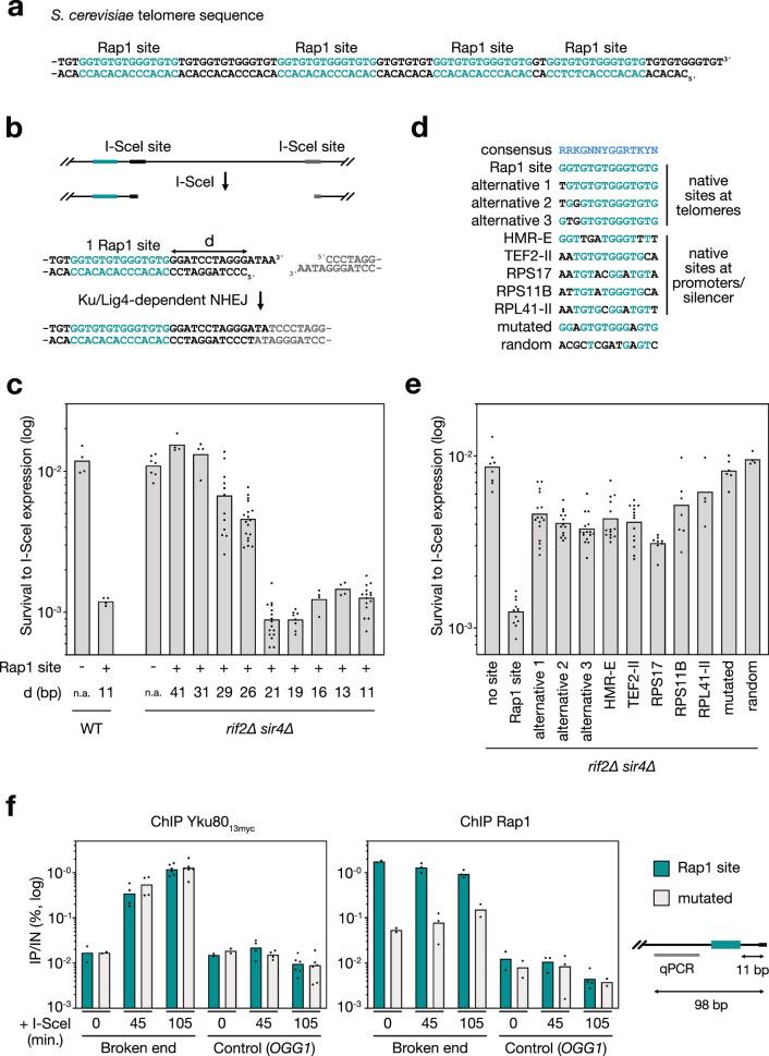 https://cdn.ncbi.nlm.nih.gov/pmc/blobs/5280/12289973/d977267f2f92/41467_2025_61864_Fig1_HTML.jpg