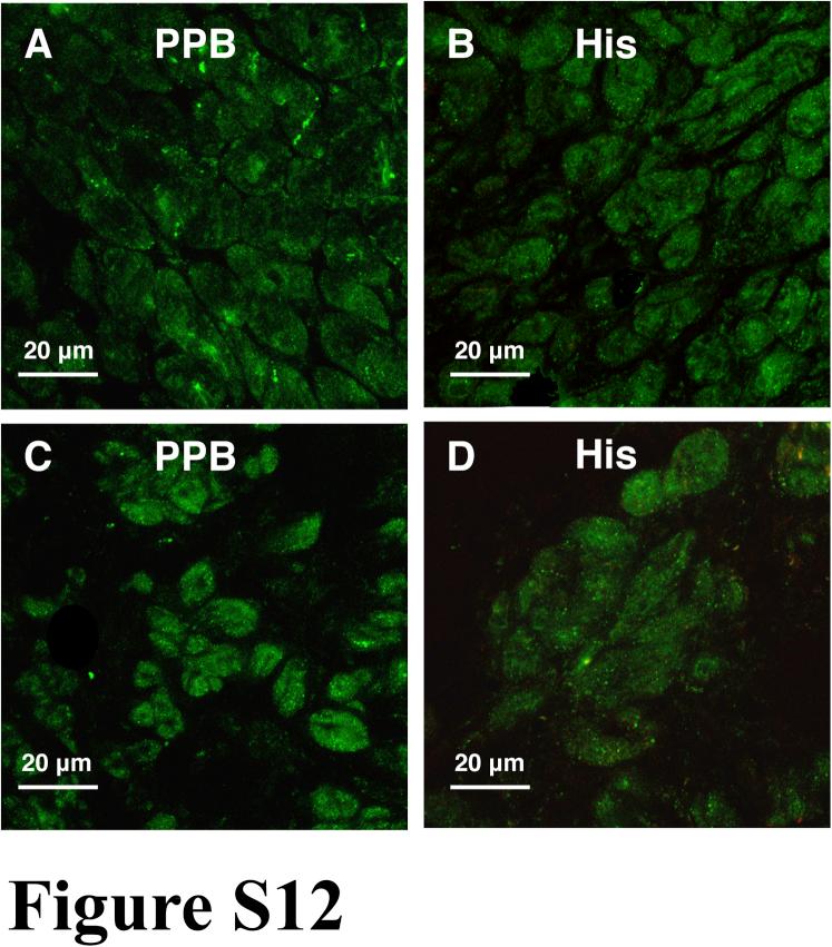 https://cdn.ncbi.nlm.nih.gov/pmc/blobs/5280/5934612/23c0dd6911cb/figs15.jpg