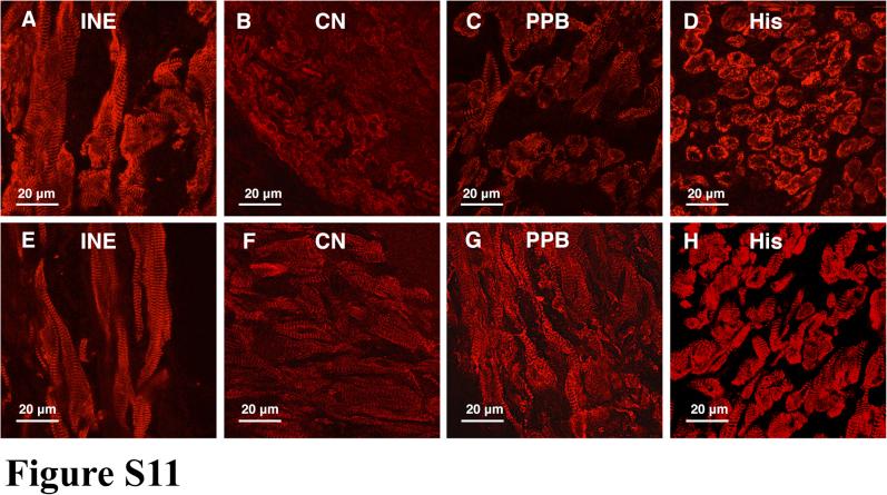 https://cdn.ncbi.nlm.nih.gov/pmc/blobs/5280/5934612/94229f646a4f/figs14.jpg