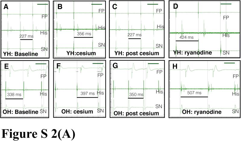 https://cdn.ncbi.nlm.nih.gov/pmc/blobs/5280/5934612/b89de026940c/figs2.jpg