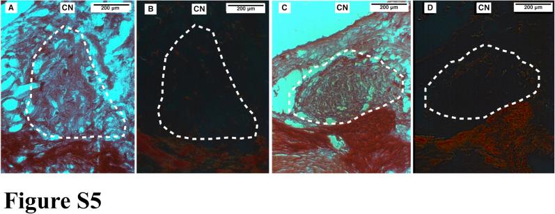 https://cdn.ncbi.nlm.nih.gov/pmc/blobs/5280/5934612/f6c9710b409e/figs8.jpg