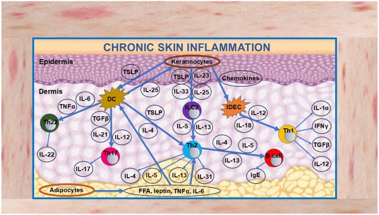 https://cdn.ncbi.nlm.nih.gov/pmc/blobs/5281/11593003/75809f8c5335/cells-13-01899-g001.jpg
