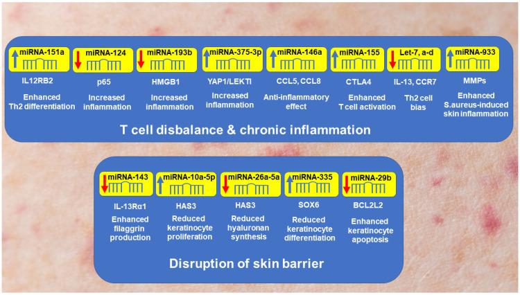 https://cdn.ncbi.nlm.nih.gov/pmc/blobs/5281/11593003/dae7985944a3/cells-13-01899-g002.jpg
