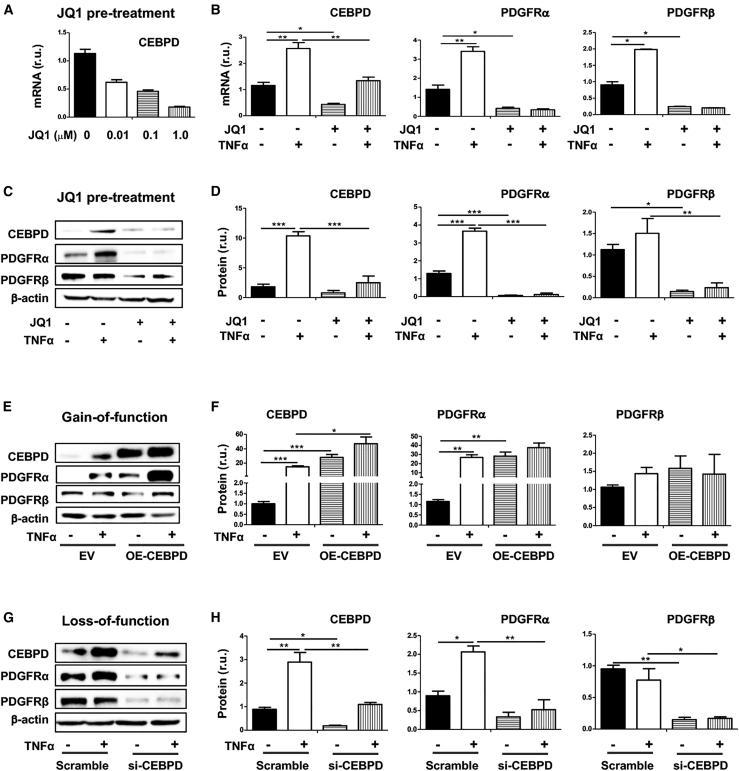 https://cdn.ncbi.nlm.nih.gov/pmc/blobs/5281/7966960/3d6b1dd9fa31/gr7.jpg