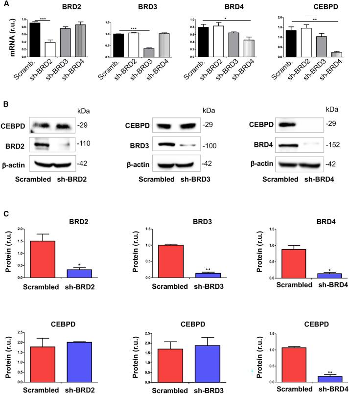https://cdn.ncbi.nlm.nih.gov/pmc/blobs/5281/7966960/a11d1780b100/gr2.jpg