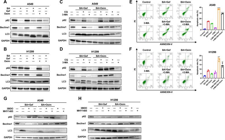https://cdn.ncbi.nlm.nih.gov/pmc/blobs/5282/11103851/127fb0e2815f/12931_2024_2844_Fig3_HTML.jpg