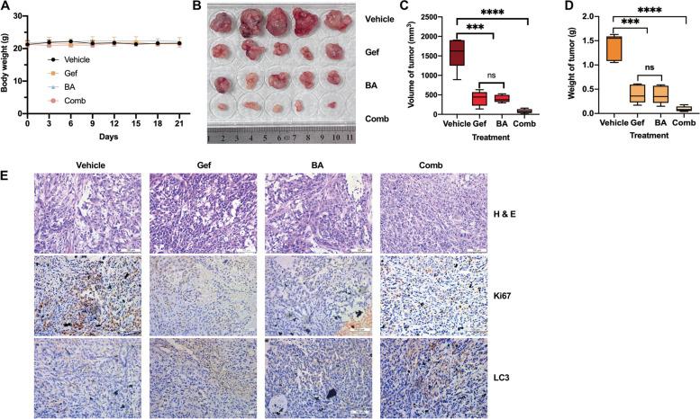 https://cdn.ncbi.nlm.nih.gov/pmc/blobs/5282/11103851/1f1a4cdd10ee/12931_2024_2844_Fig6_HTML.jpg